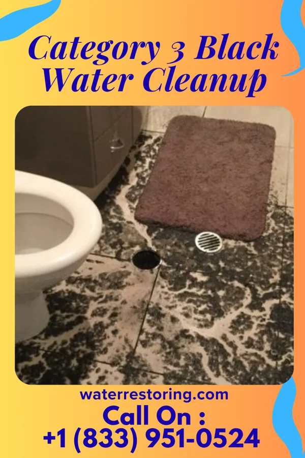 Category 3 Black Water Cleanup in Michigantown, IN