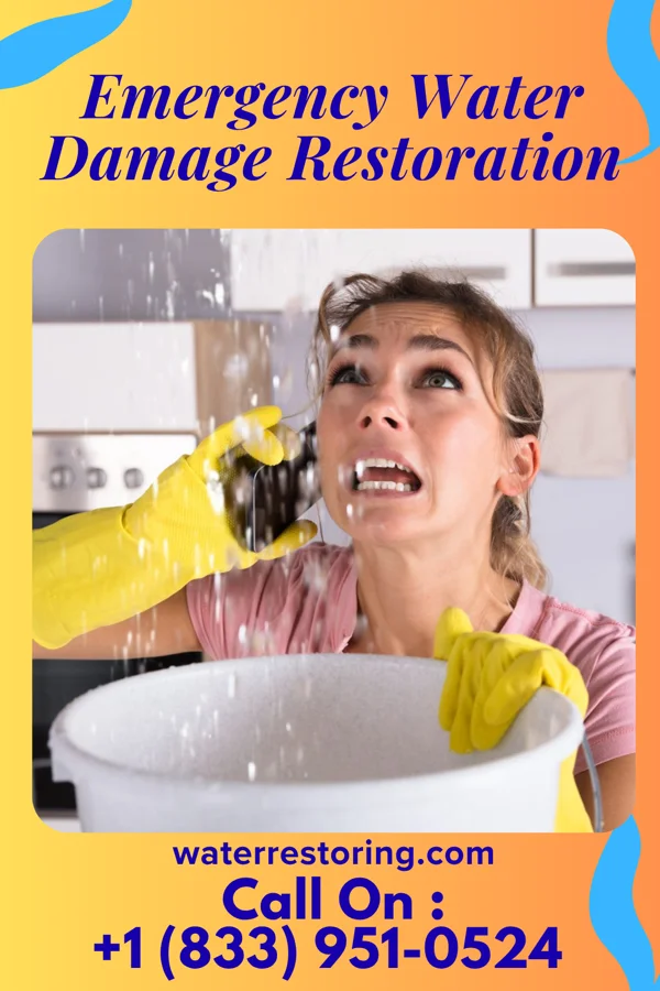 Emergency Water Damage Restoration in Michigantown, IN