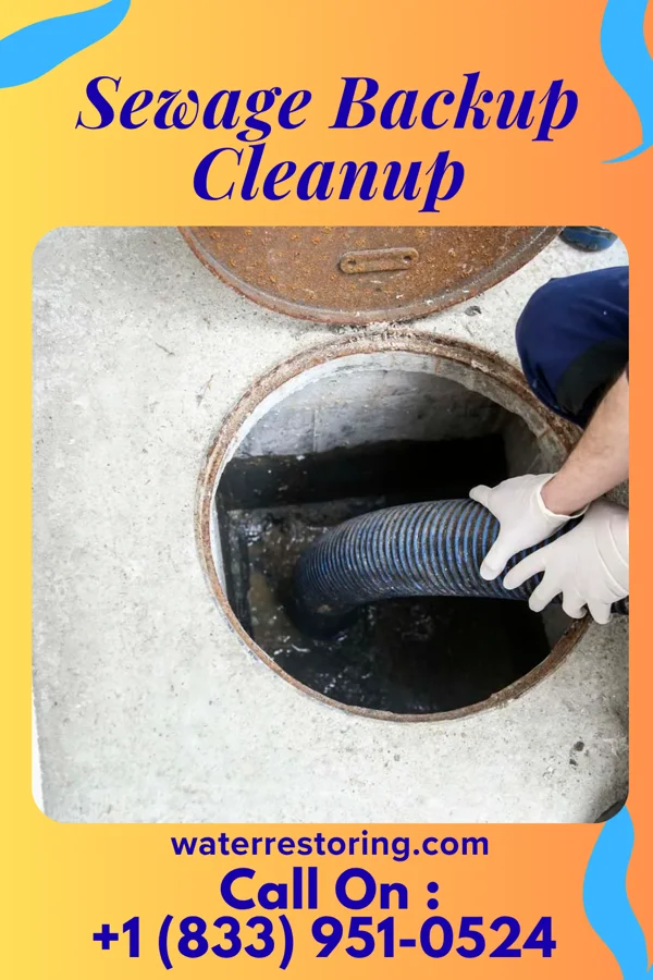 Sewage Backup Cleanup in Michigantown, IN